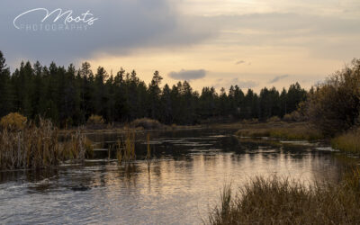 Buffalo River Landscapes