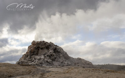 Yellowstone Landscapes