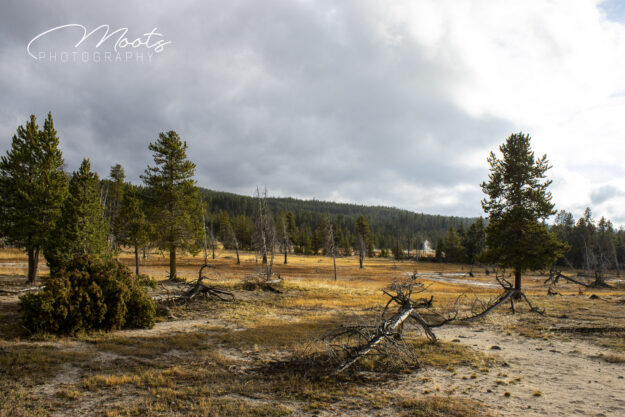 Yellowstone, National Park, Landscape