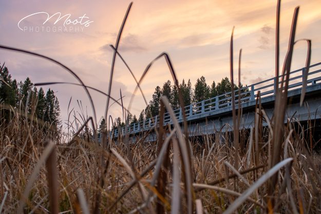 Island Park, Bridge, Grass, Fine Art, Sunset, Website Edited